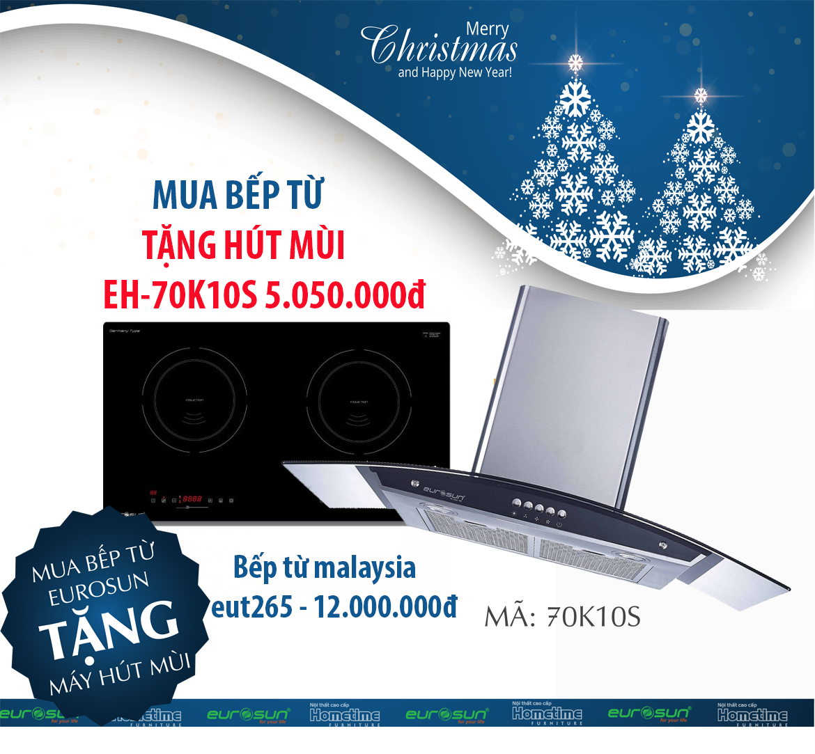 Bếp từ Malaysia EU-T265